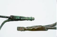 Foto von Bronzepaukenfibel (NHMW-PRAE-025974)